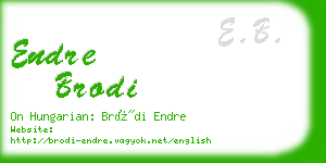 endre brodi business card